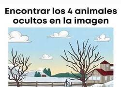 Enlace a ¿Ves 4 animales?