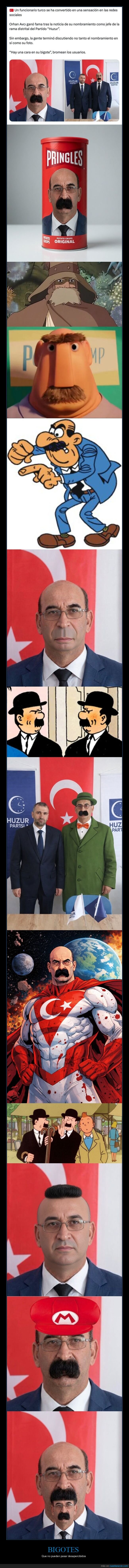 bigote,pol&iacute;tica,Turqu&iacute;a,nombramiento,fotograf&iacute;a