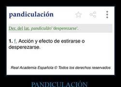 Enlace a Yo diciendo “estirarme” y la RAE: pandiculación, campeón