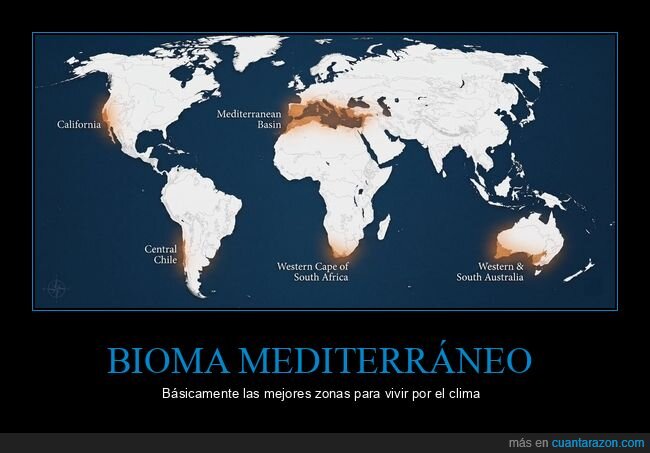 Mediterr&aacute;neo,clima,mapa,sequ&iacute;a,biomas
