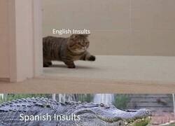 Enlace a En inglés te rozan, en español te atropellan