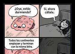 Enlace a Mi cerebro: dato random a las 3am