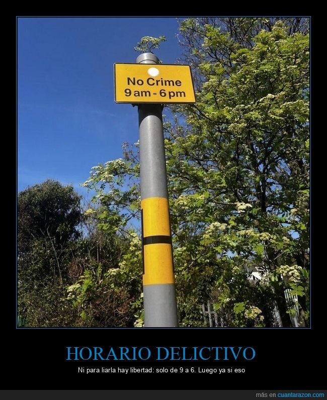 cartel,crimen,horario,absurdo,normas