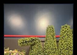 Enlace a El arbolillo de la derecha está decaído