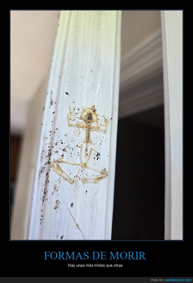 esqueleto,puerta,espera,portero,vecinos