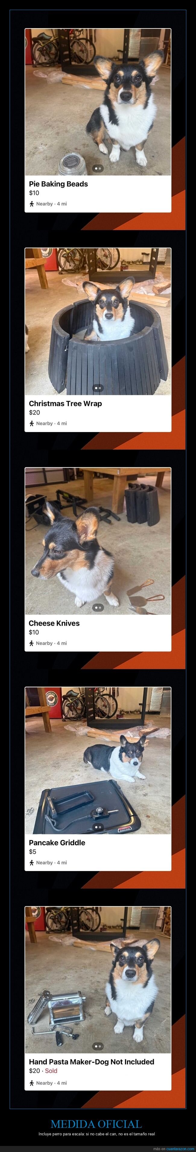 perro,escala,ventas,anuncios,medidas