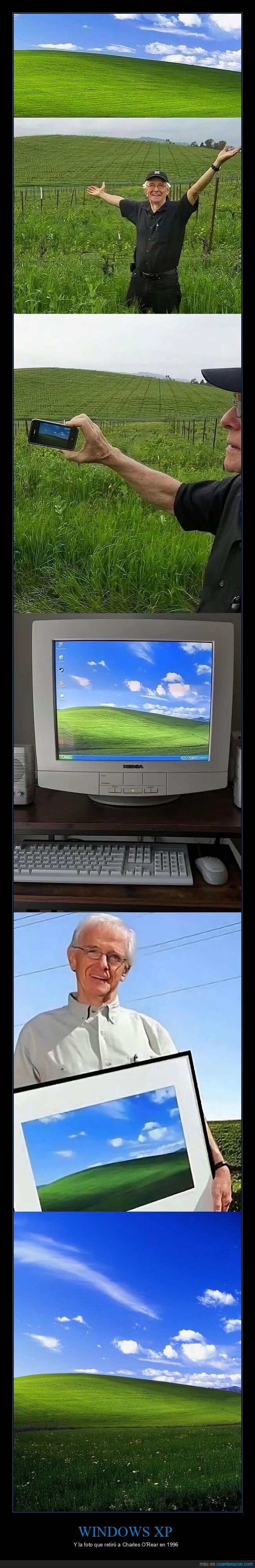 WindowsXP,Bliss,Microsoft,fotograf&iacute;a,nostalgia