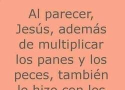 Enlace a Milagro: hay para todos