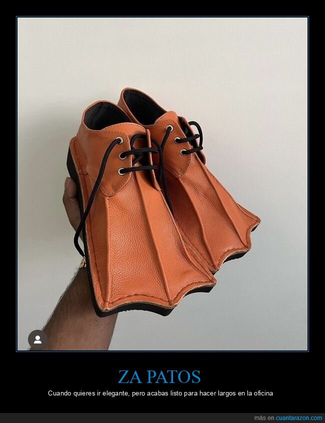 zapatos,aletas,moda,oficina,absurdo