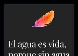 Enlace a Sin café, ni me mires