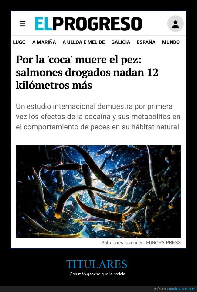 salmones,titulares,periodismo,rio