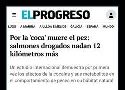 Enlace a Esto la IA no te lo hace