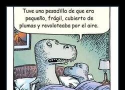 Enlace a Yo lo vi venir, pero con plumas