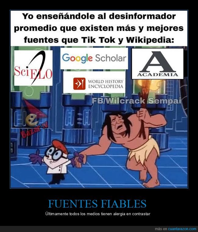 desinformaci&oacute;n,fuentes,academia,investigaci&oacute;n,TikTok