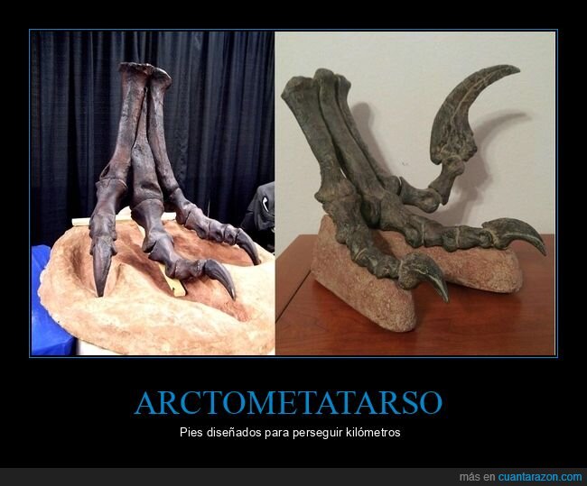 dinosaurio,f&oacute;sil,paleontolog&iacute;a,persecuci&oacute;n,evoluci&oacute;n