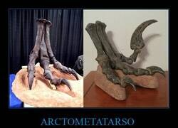 Enlace a Una característica de las patas del T-Rex era el 