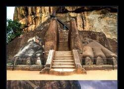 Enlace a Hoy en día solo quedan las pezuñas