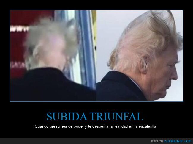 Trump,AirForceOne,aviacion,politica,peluquin