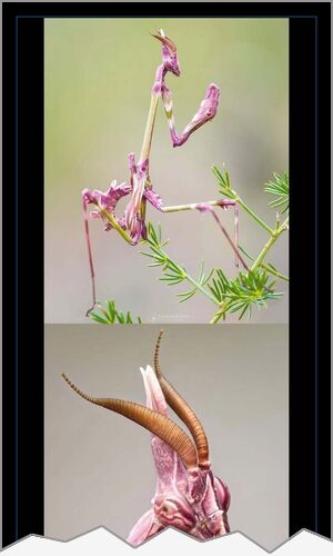 Mejor cartel de ayer