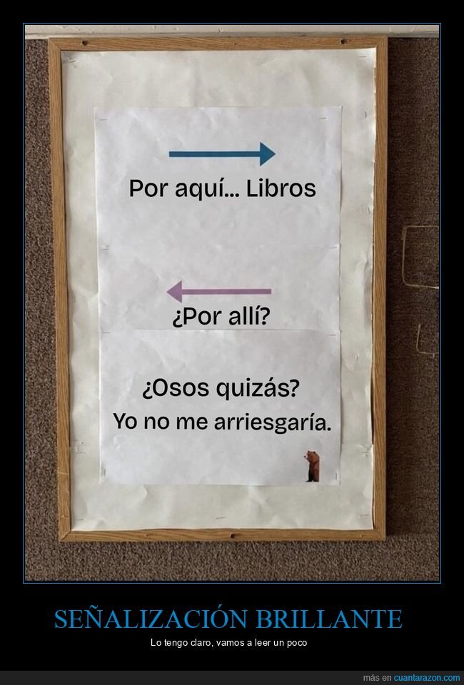 biblioteca,se&ntilde;alizaci&oacute;n,libros,osos,dilema
