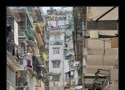 Enlace a Cuando creías conocer las multitudes y descubres que aún te quedaba nivel por sufrir