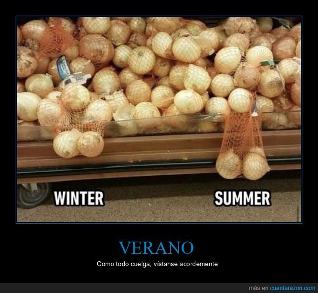 invierno,verano,gravedad,cuerpo,cambio