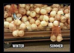 Enlace a Cuidado con los pellejos