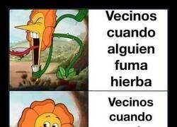 Enlace a Parece meme pero es anécdota