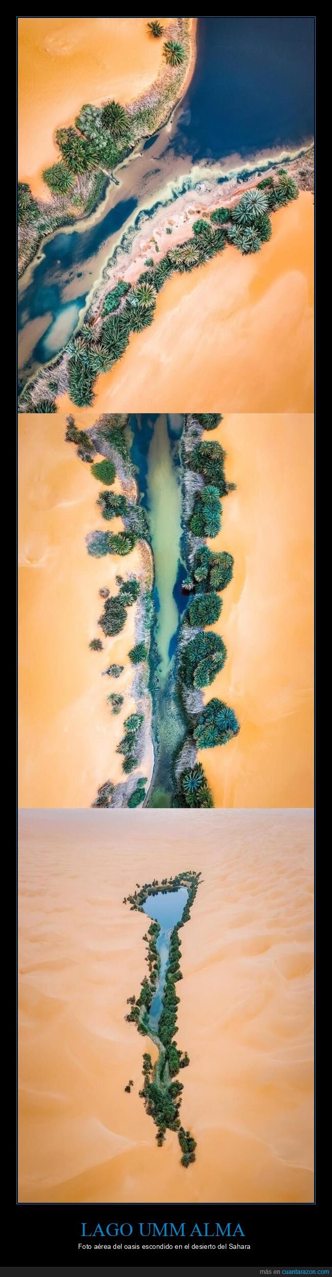 oasis,desierto,S&aacute;hara,viaje,fotograf&iacute;a