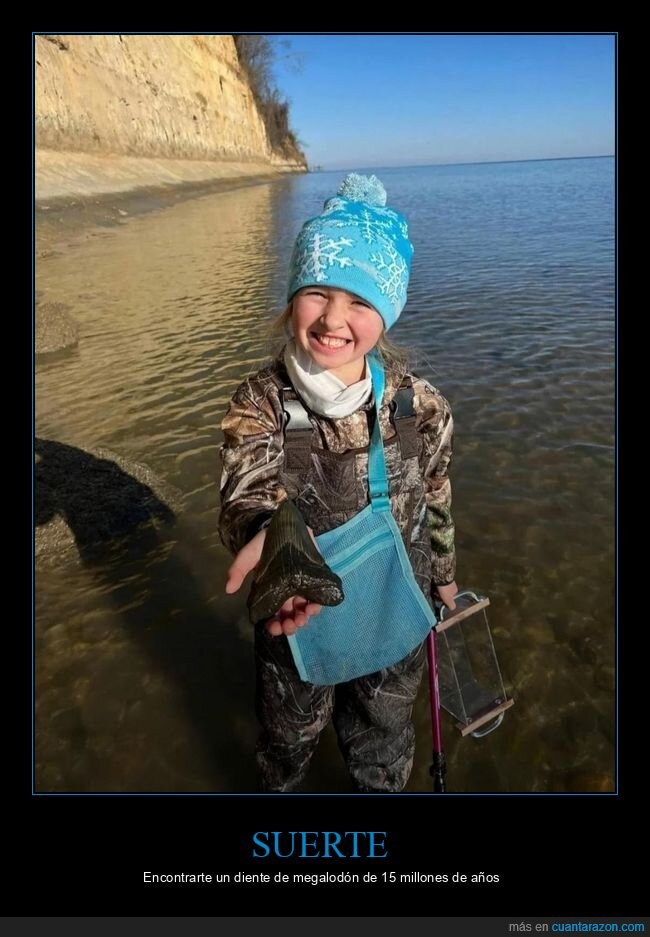 megalod&oacute;n,f&oacute;sil,playa,hallazgo,infancia