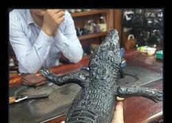 Enlace a Zapatos de cocodrilo hechos a medida que representan un cocodrilo completo