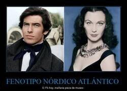 Enlace a El fenotipo nórdico-atlántico ahora representa menos del 0,1% de la población mundial. En 100 años será más raro que un leopardo de las nieves