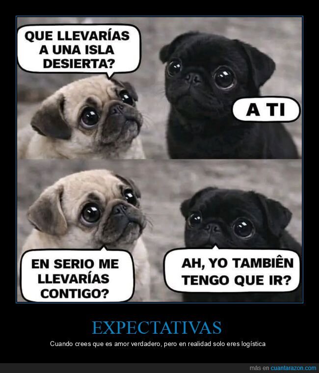 perros,pareja,celos,isla,desierto