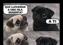 Enlace a Me apunto… pero sin ti