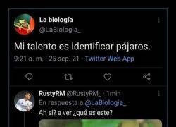 Enlace a Sí, es pájaro
