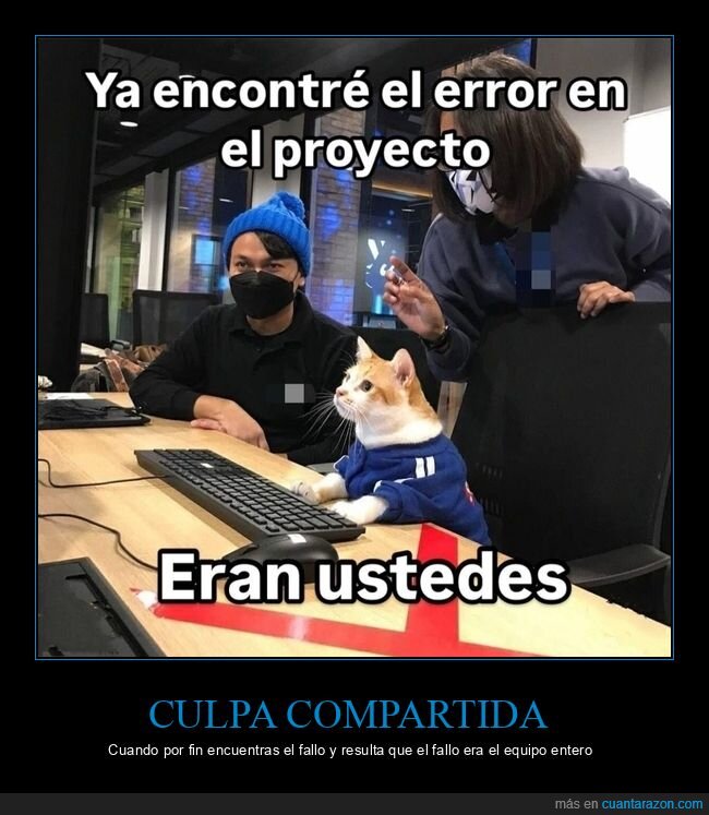 proyecto,equipo,error,oficina,gato