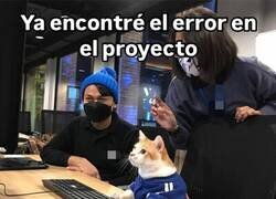 Enlace a Ya encontré el bug: sois vosotros