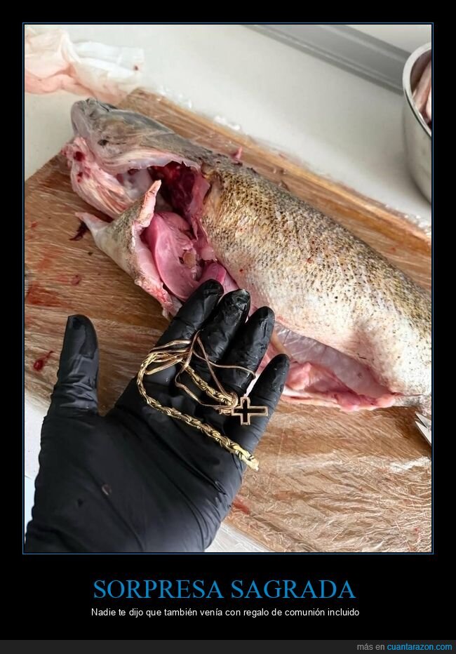 lucio,pesca,sorpresa,collar,cruz