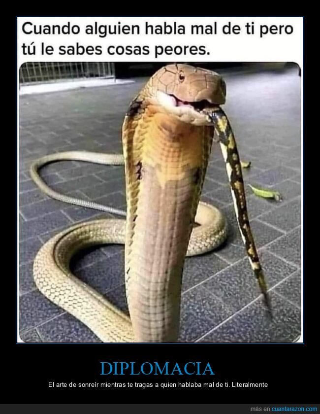 serpiente,amenaza,chisme,secretos,venganza