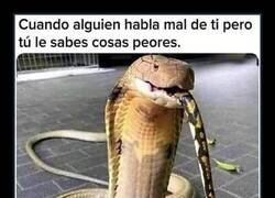 Enlace a No tires de la lengua