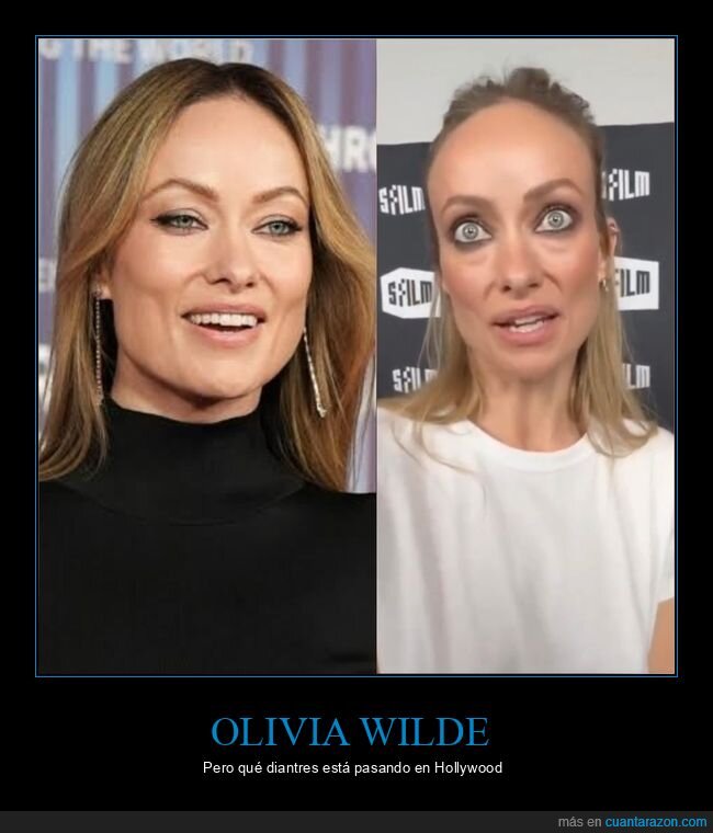 Hollywood,cirug&iacute;a,famosos,cambio,remake,olivia wilde