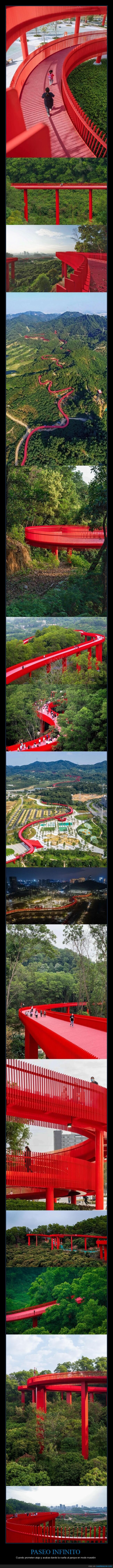 pasarela,parque,Shenzhen,caminata,turismo