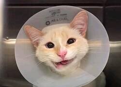 Enlace a Me arreglaron la sonrisa… a lo bruto