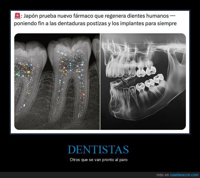 dientes,dentista,japon,medicina,radiografia