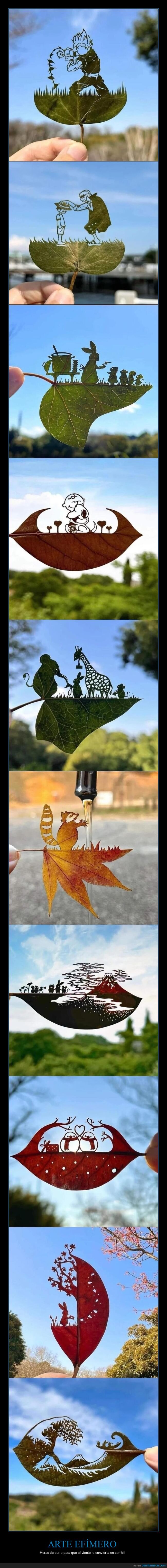 Lito,papel,hojas,origami,artista