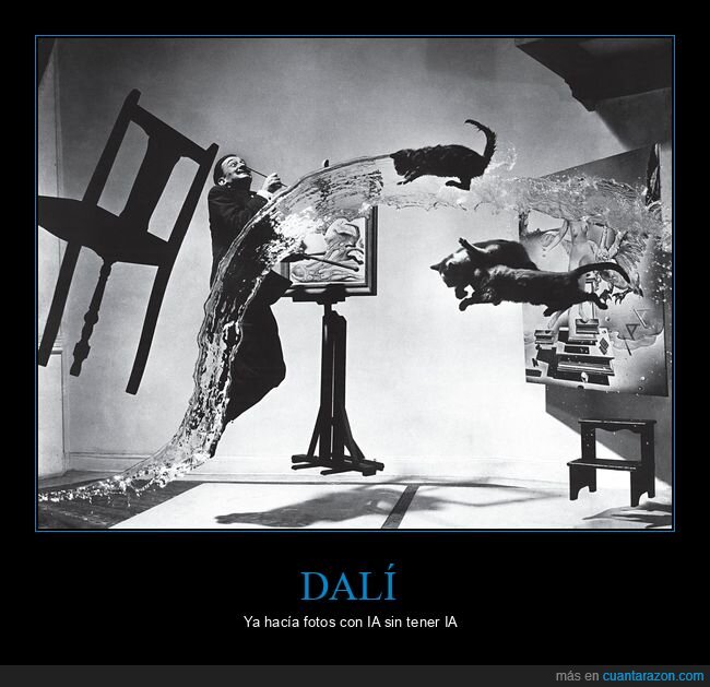 Dal&iacute;,surrealismo,fotograf&iacute;a,caos,gatos