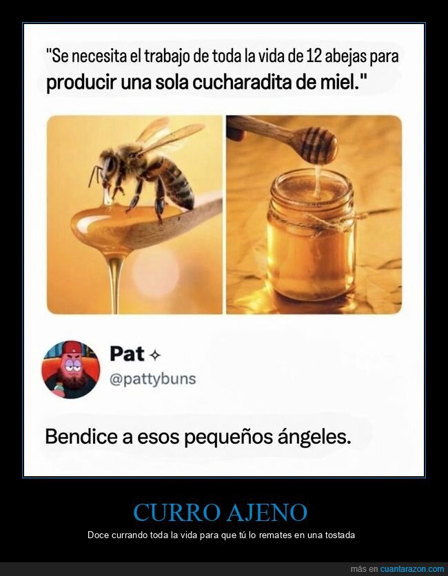 abejas,miel,tostada,trabajo,esfuerzo