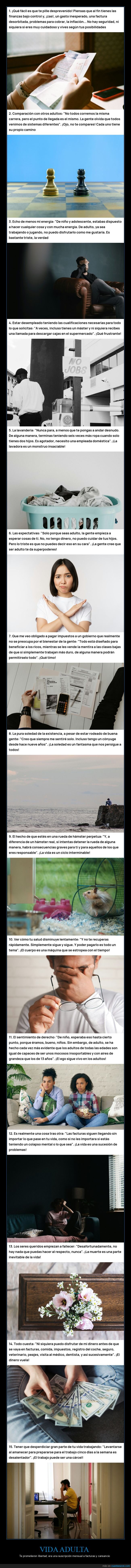 adultez,facturas,realidad,quejas,rutina