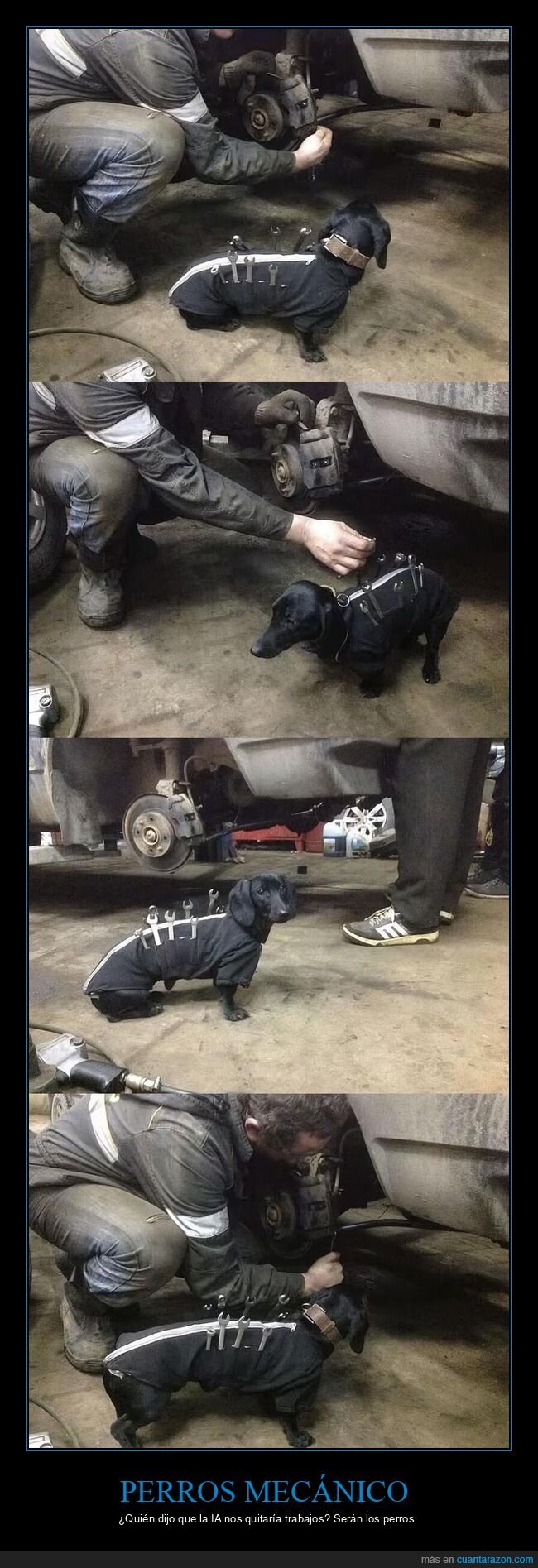 mec&aacute;nica,taller,perro,coches,reparaci&oacute;n