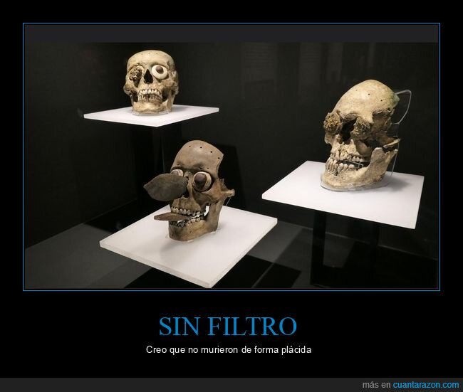 calaveras,museo,aztecas,TemploMayor,exposicion